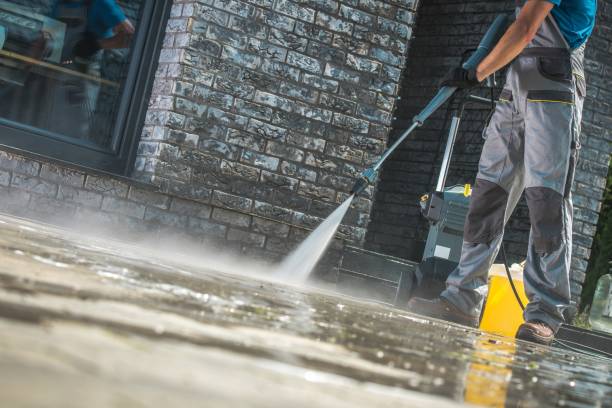 Best Soft Washing  in Tangerine, FL